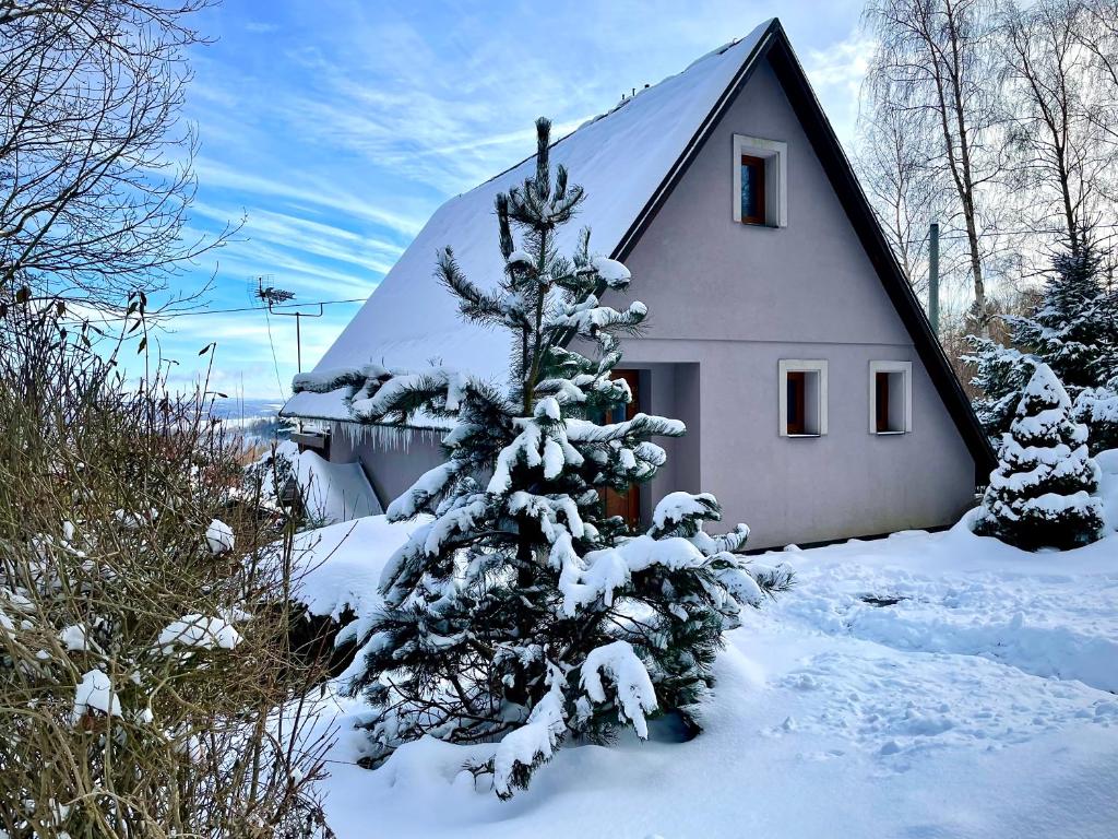 a snow covered christmas tree in front of a house at Rekreační horská chata na Nové Vsi 90 in Dolní Moravice