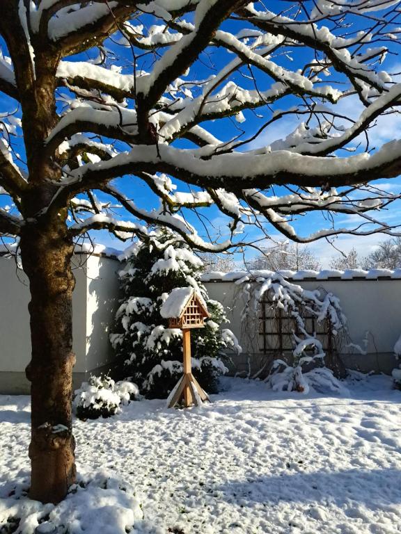 Hotel Gasthof Brandstätter - Resim 10