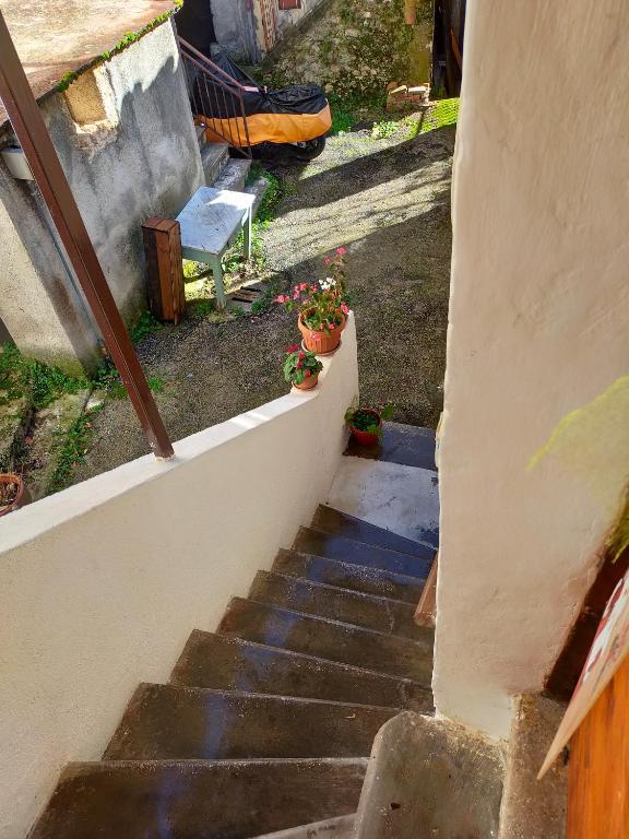 Zahrada ubytování Monolocali Tra Rieti e Terminillo e lago del Salto