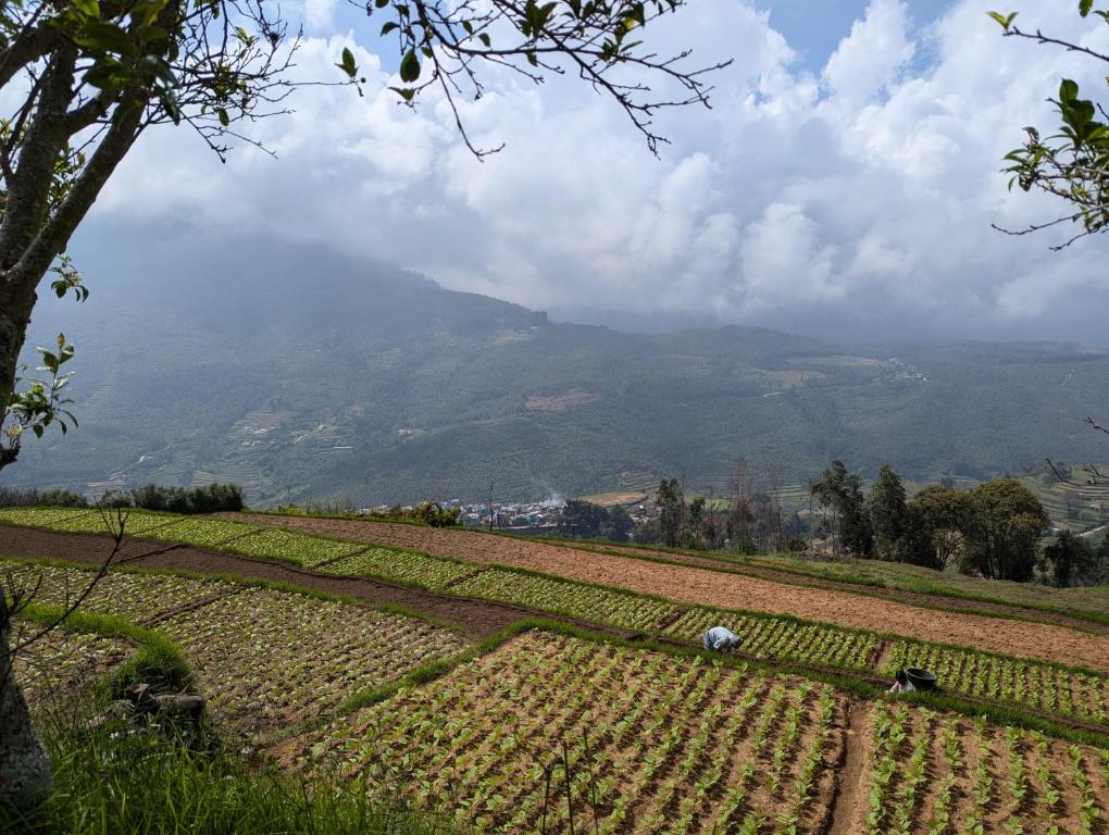 Příroda nedaleko kempu