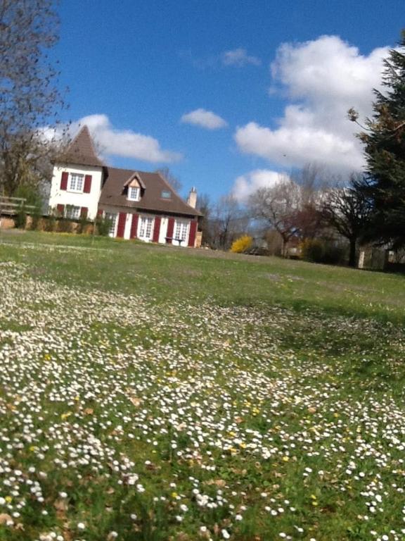 une maison avec un champ de fleurs dans l'herbe dans l'établissement maison quercynoise FIGEAC, à Lunan