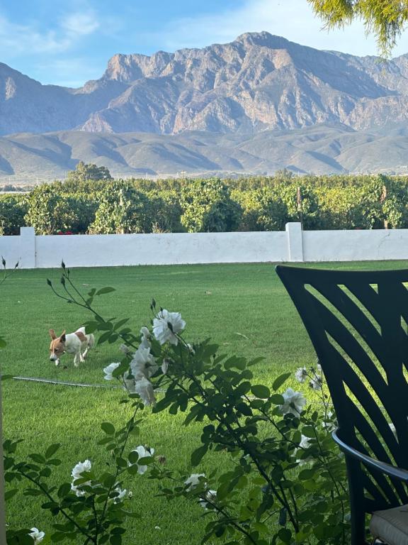 Gallery image of IN DE VINES -Cabernet-Farmstay in Worcester
