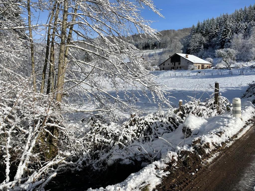La Hutte - Two-Bedroom House