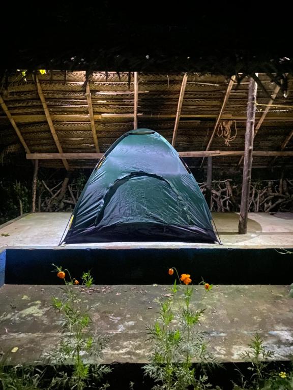 Fotografie z fotogalerie ubytování Safari village yala v destinaci Tissamaharama
