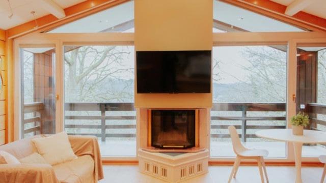 un soggiorno con camino e TV sopra di Premium Spa Chalet - Sauna & Jacuzzi - 20min Paris a Gif-sur-Yvette