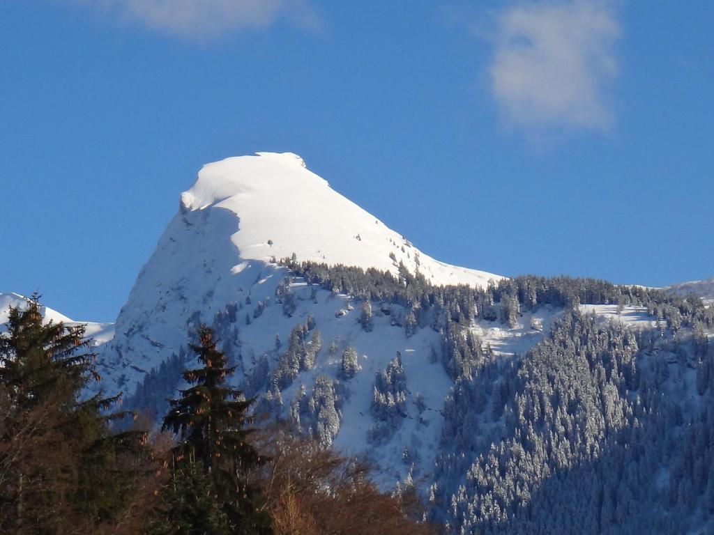 モルジヌにあるChalet Chez Gabyのギャラリーの写真