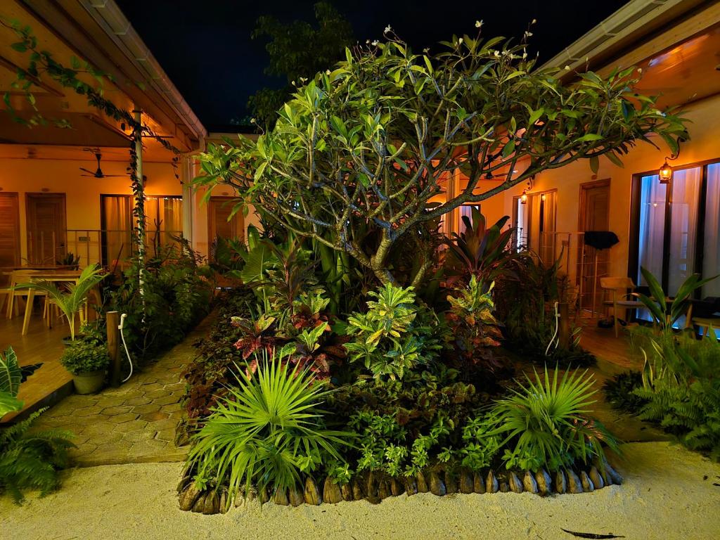 Zahrada ubytování Infinity Beach Dhigurah