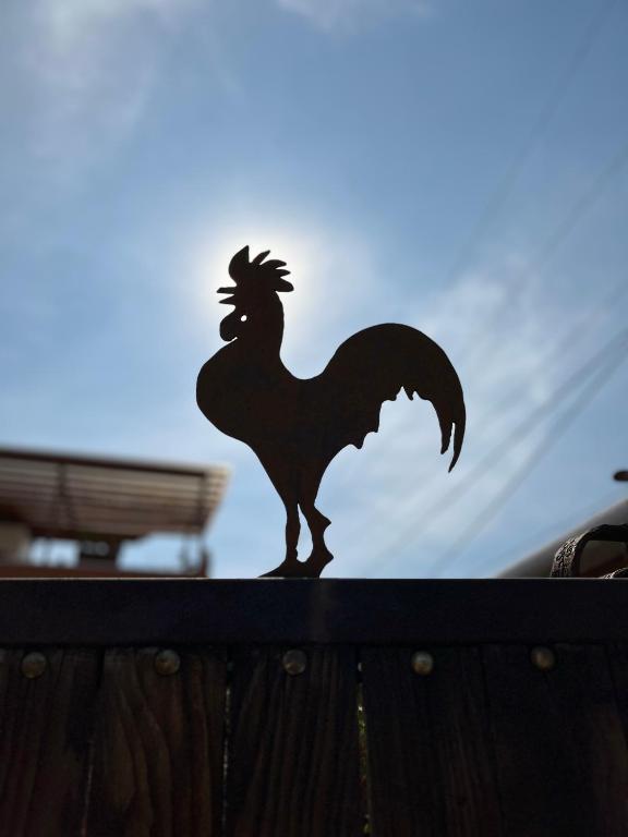 Zvířata v penzionu – hostince nebo okolí