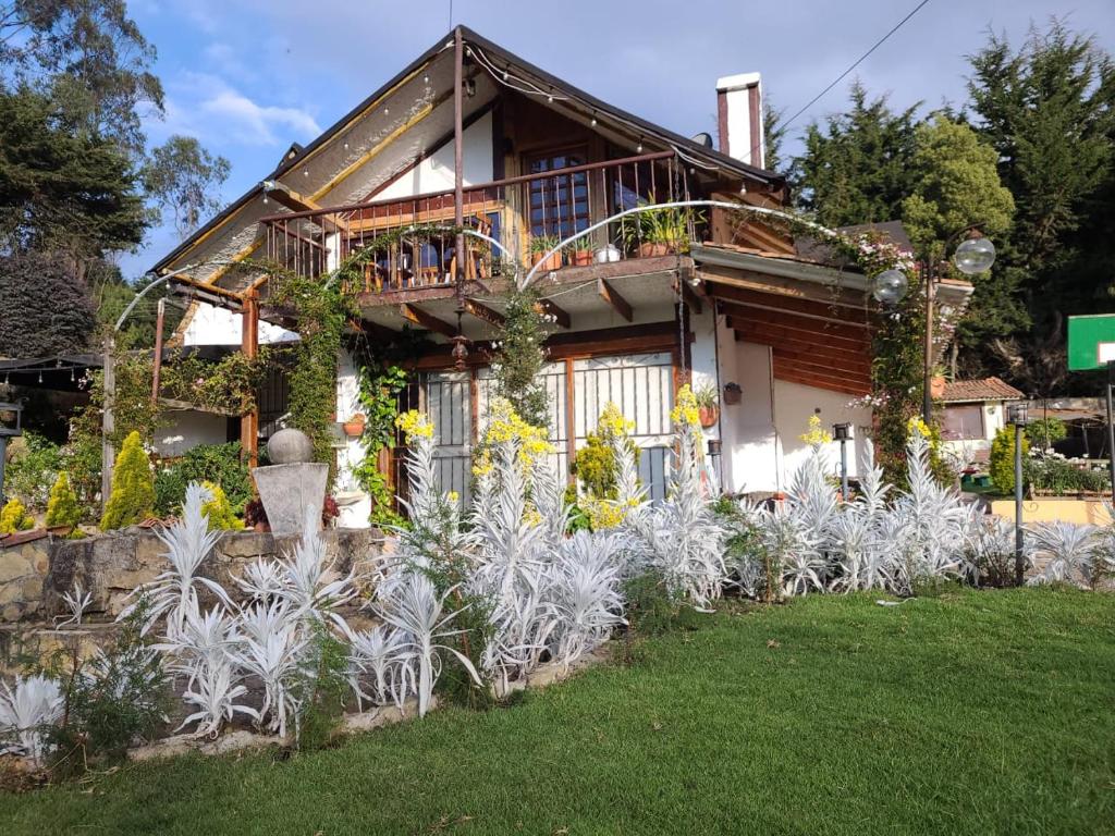 Zahrada ubytování The Frailejon House