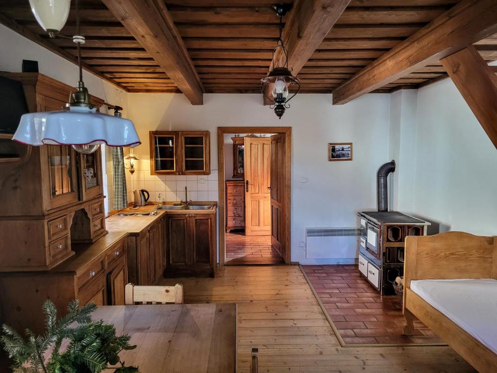 Kuchyň nebo kuchyňský kout v ubytování Apartmány Červený Dvůr