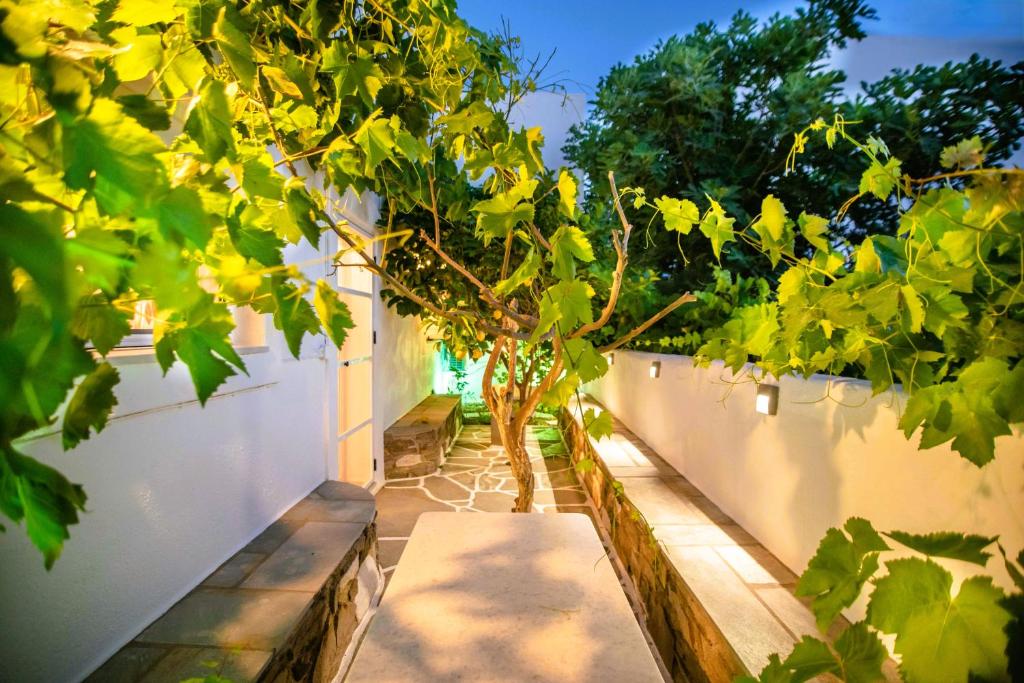 Kontaratos Studios & Apartments - 13