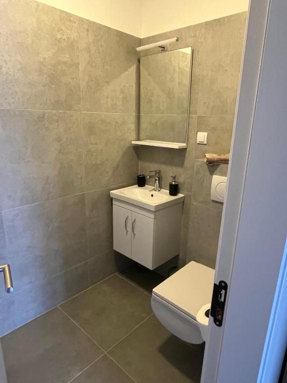 a bathroom with a toilet and a sink and a mirror at Vila Leona E3 in Divčibare