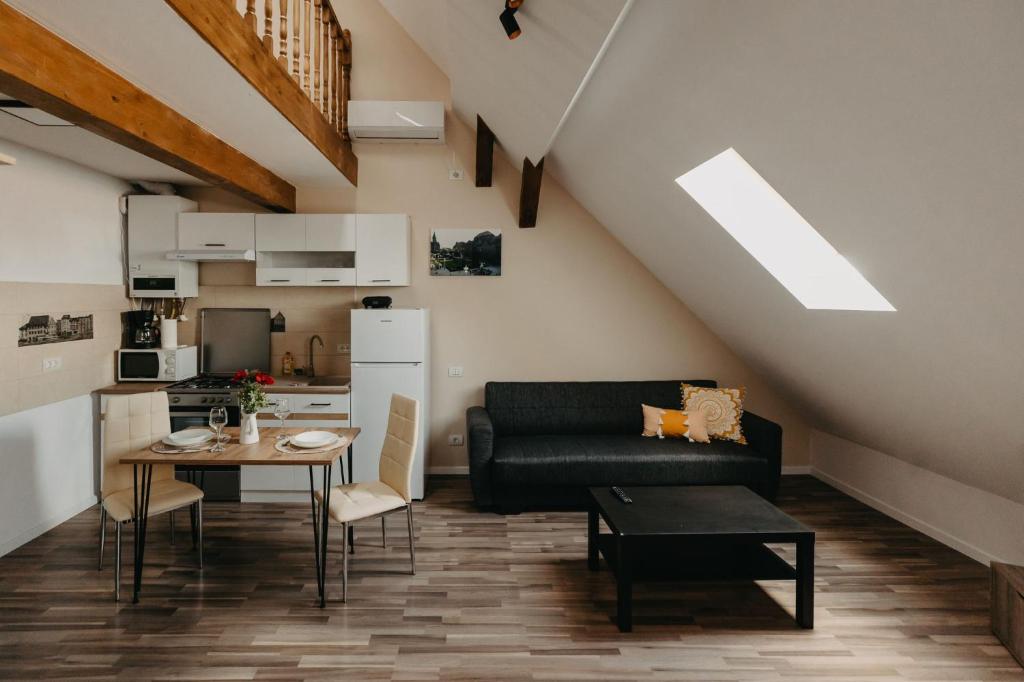Kuchyň nebo kuchyňský kout v ubytování Palatul Agoston Galgon