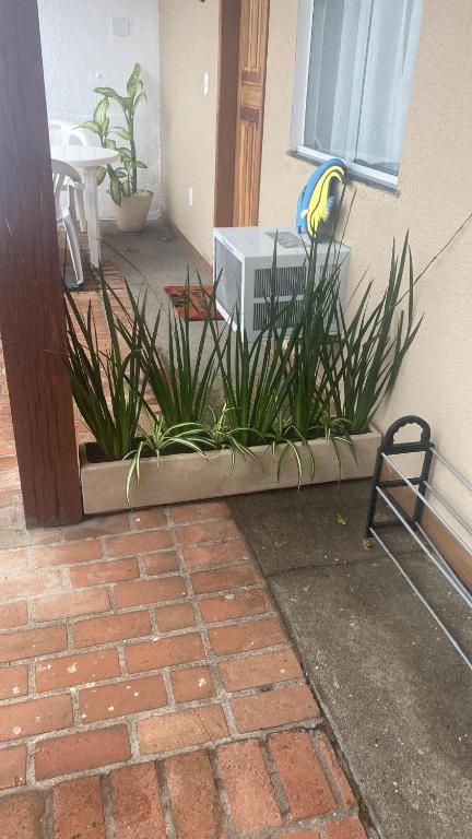 Fotografie z fotogalerie ubytování Suite 2 v destinaci Cabo Frio