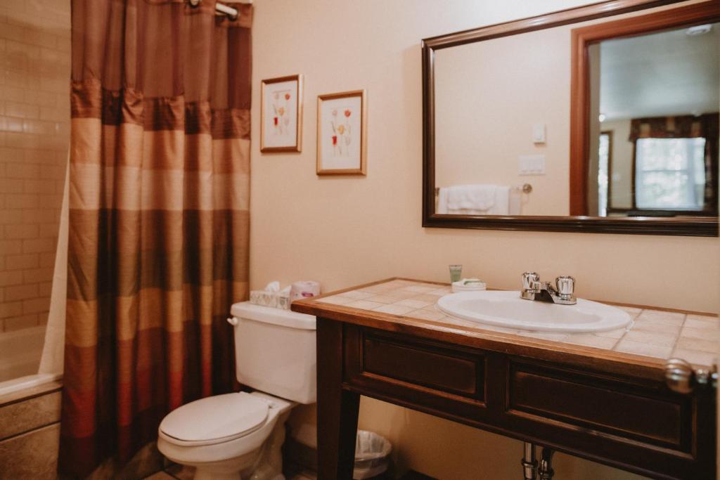a bathroom with a toilet and a sink and a mirror at Auberge du Lac Morency in Saint-Hippolyte