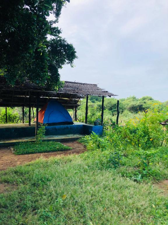 Zahrada ubytování Safari village yala