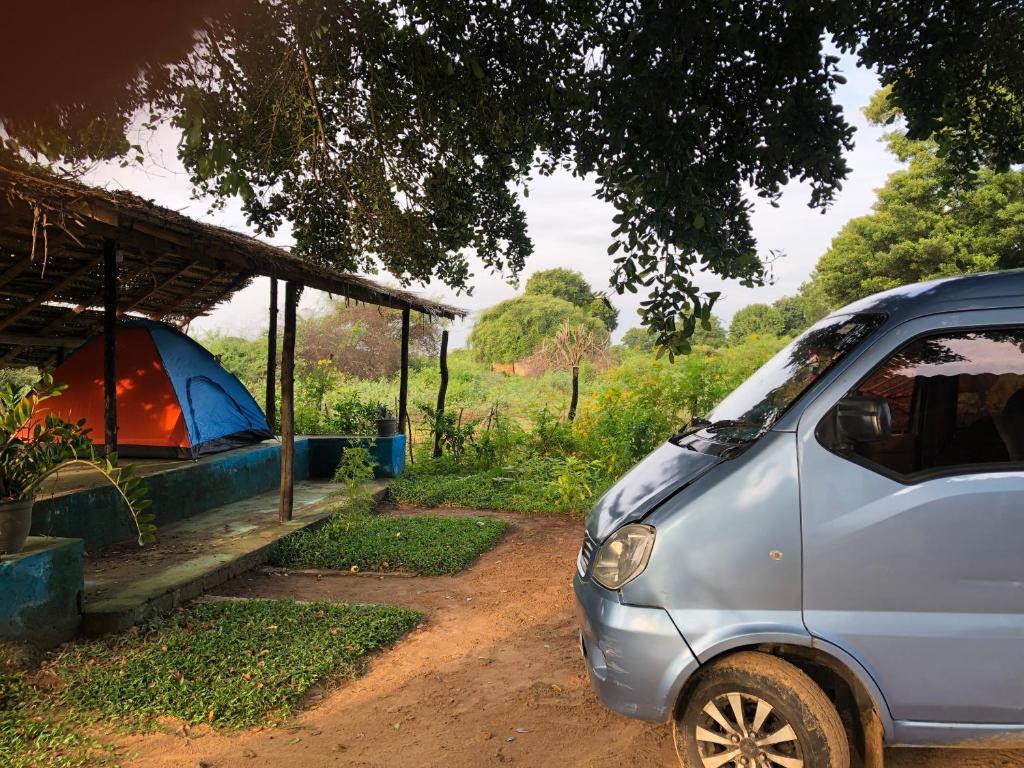 Zahrada ubytování Safari village yala
