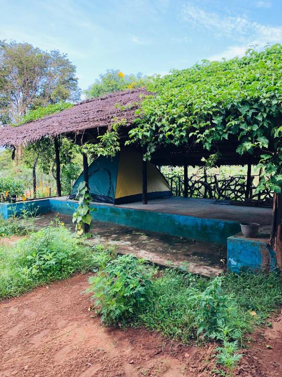 Zahrada ubytování Safari village yala