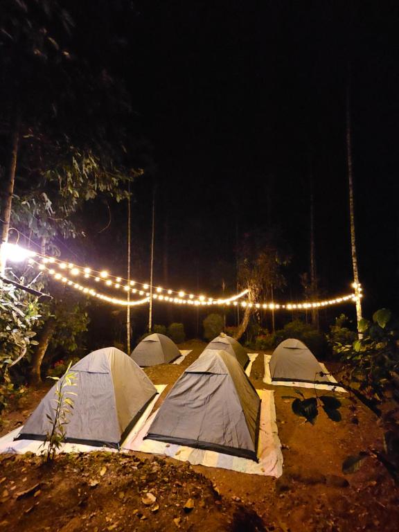 Fotografie z fotogalerie ubytování Tropical camping v destinaci Wayanad