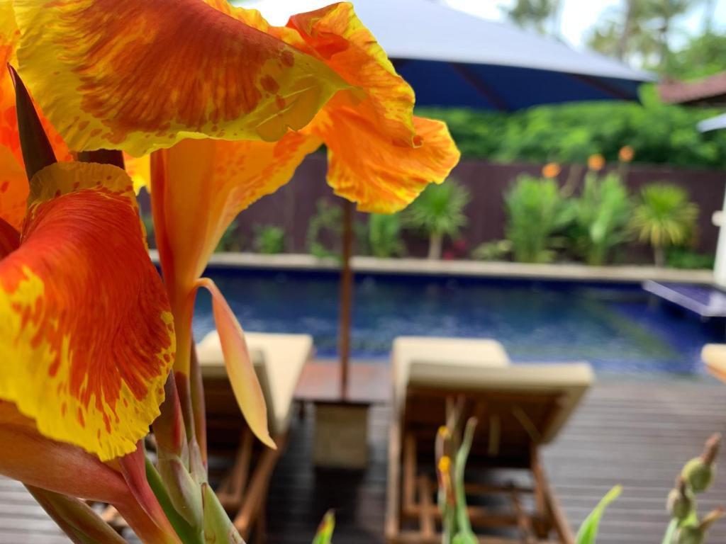 Relax Villas Gili Air - 19