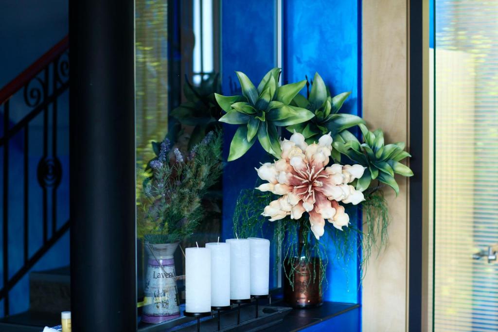 Hotel Conti - Resim 19