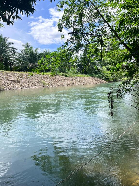 Khaosok River Camp - 19