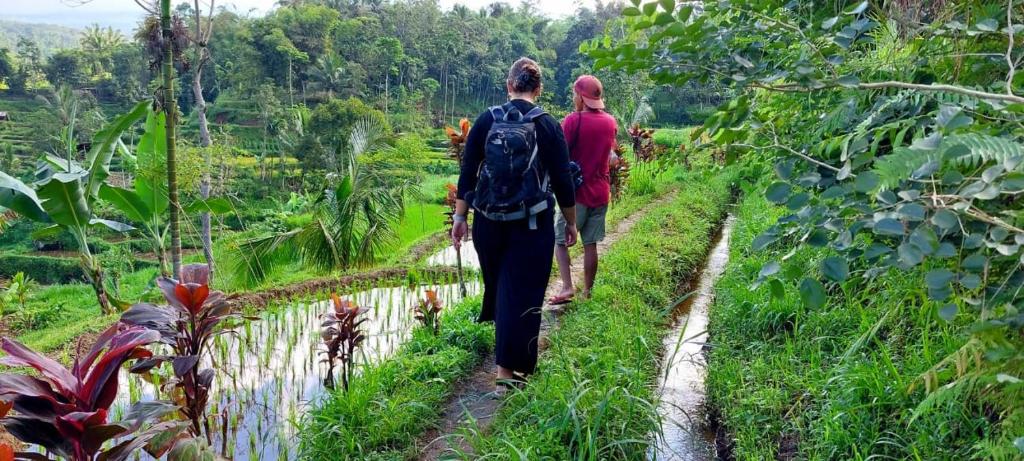two people walking down a trail in the jungle at Mimi homestay-LOMBOK in Tetebatu