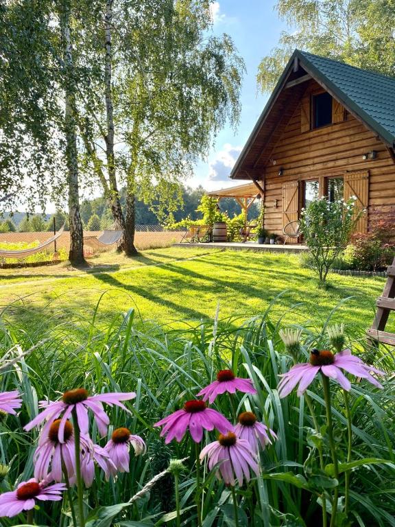 eine Gruppe rosafarbener Blumen vor einer Hütte in der Unterkunft Czuła Chata Ojców in Prądnik Czajowski