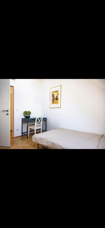 Rooftop Apartment in central Vienna