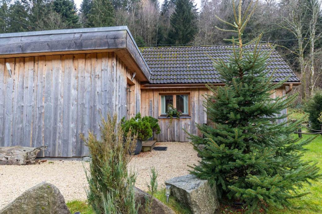 une petite cabane avec un pin en face de celle-ci dans l'établissement Chalet Hohneck - Le lodge - Spa, borne de recharge, à Stosswihr
