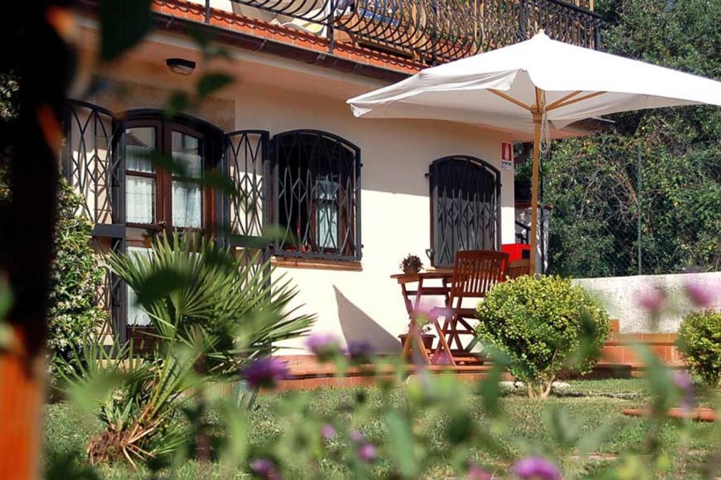 Zahrada ubytování B&B Hibiscus