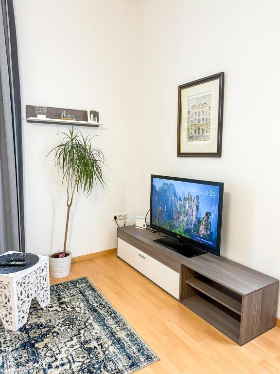 TV a/nebo společenská místnost v ubytování Serenity Apartment - Harmony