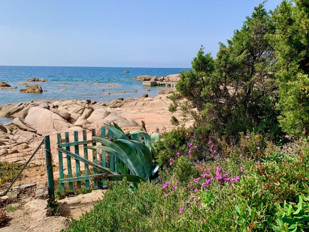 un banc assis sur la plage près de l'eau dans l'établissement Villa Nausicaa, à Pietrosella