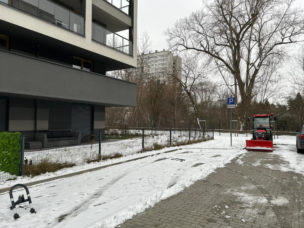 Pachecos' Garden - 9