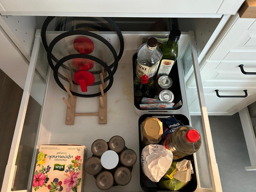 Pachecos' Garden - 7