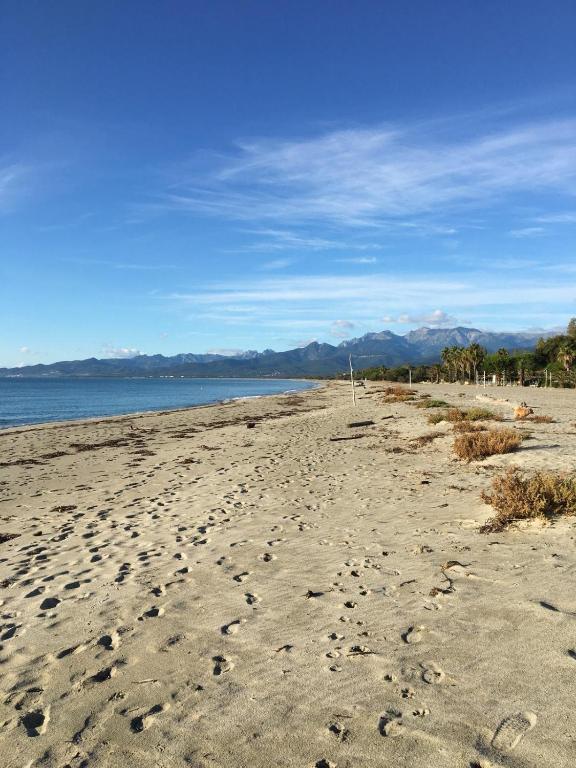 une plage avec des empreintes dans le sable et l'eau dans l'établissement Appartement au bord de mer, à Ghisonaccia