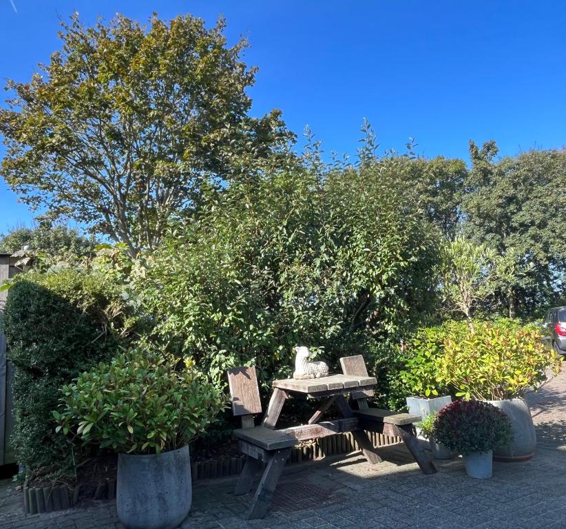 Zahrada ubytování B&B Vloedlijn Texel