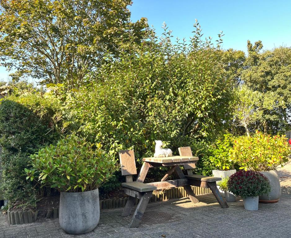 Zahrada ubytování B&B Vloedlijn Texel