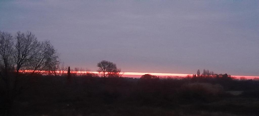 un coucher de soleil dans un champ avec des arbres au premier plan dans l'établissement Appartement proche mer, à Mauguio
