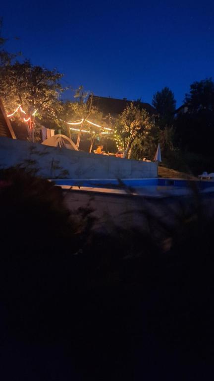 Příroda nedaleko kempu