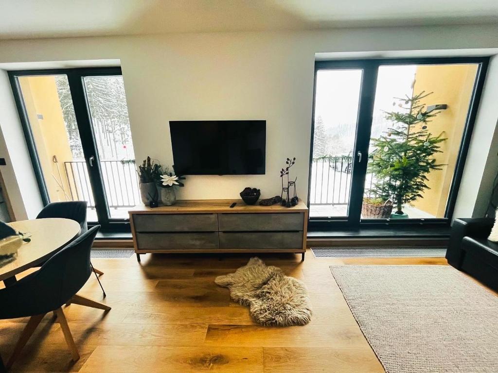 TV a/nebo společenská místnost v ubytování Apartmán Dole v Dole