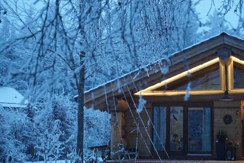 Chalet Vogelkirsche v zimě