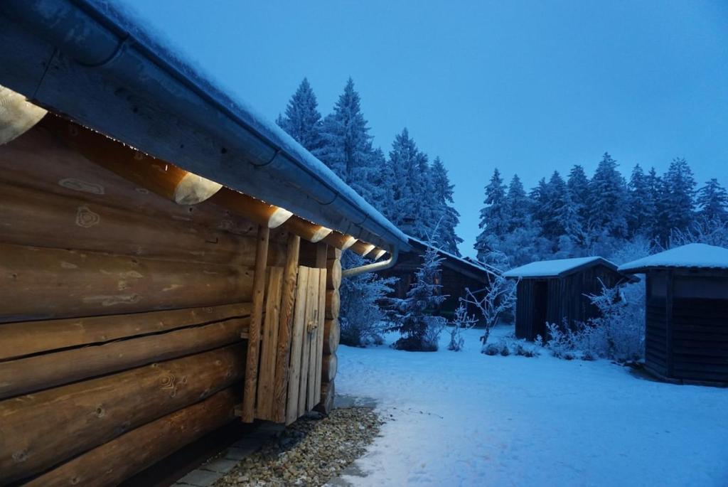 Chalet Vogelkirsche v zimě