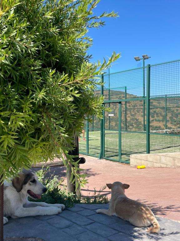 FINCA LAS DEHESILLAS - Housity