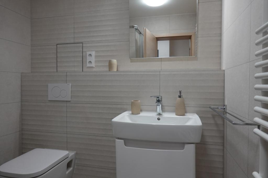 Koupelna v ubytování Apartmán Rozárka Černý Důl