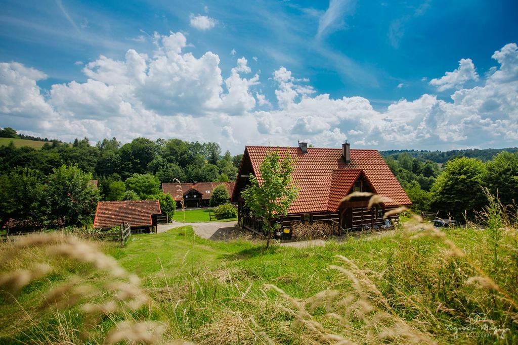 a house with a red roof in a field at Zagroda Magija Bieszczady in Orelec