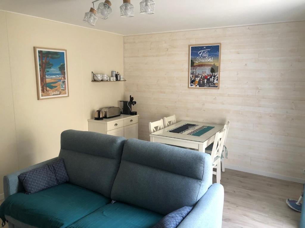 un salon avec un canapé et une table dans l'établissement Charmante maisonette, à Soustons