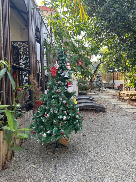 Proud Chiang Mai Poshtel - Resim 7