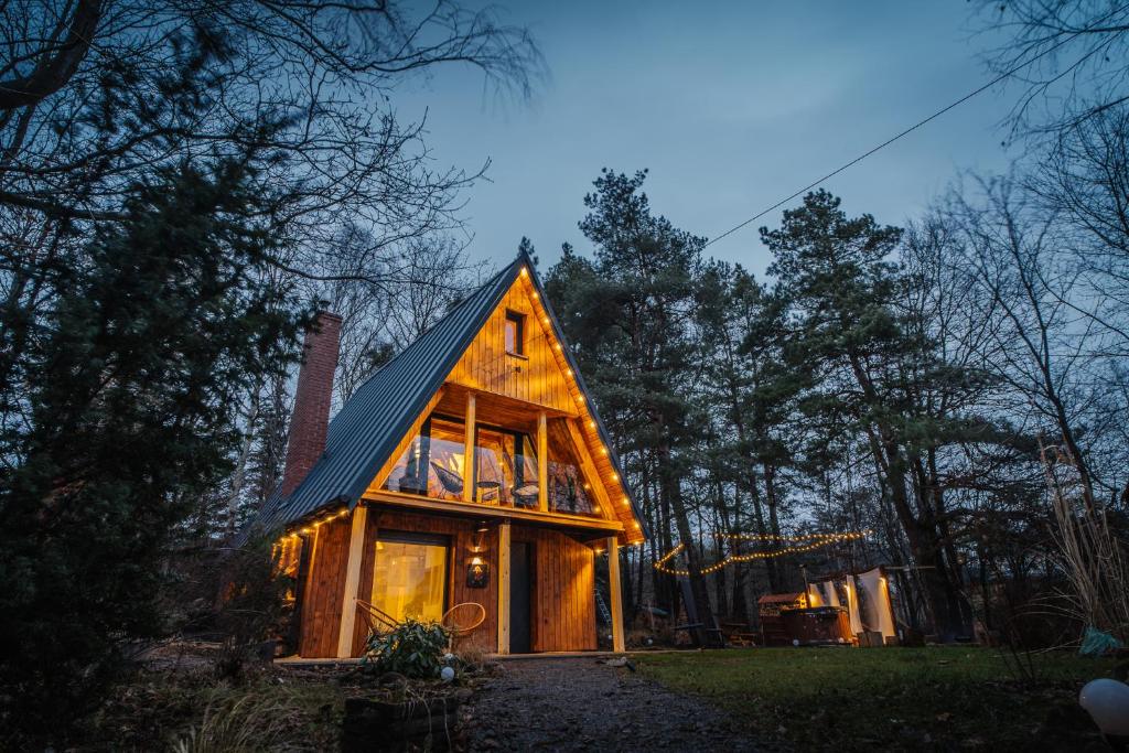 a tiny house in the woods at night at Chata Szyszka in Męcina Mała