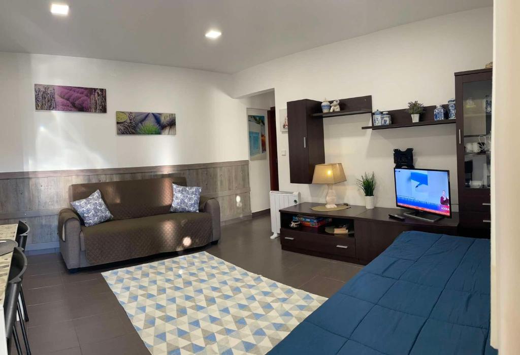 a living room with a couch and a television at Casa da Avó Olinda in Góis